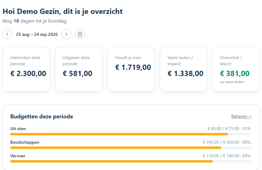 Voorbeeld van het overzicht in De Gezins B.V.